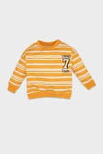 DEFACTO Baby Boy Orange Regular Fit Crew Neck Striped Soft Furry Thin Sweatshirt