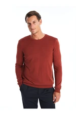 LC Waikiki Crew Neck Long Sleeve Men's Knitwear Sweater