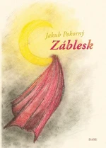 Záblesk - Jakub Pokorný