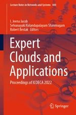 Expert Clouds and Applications