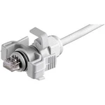 RJ45 konektor Telegärtner J00026A0150 - zástrčka, rovná RJ45 počet pólů: 8P8C, světle šedá, 1 ks