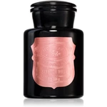 Paddywax Apothecary Noir Saffron Rose vonná svíčka 226 g