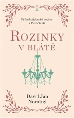 Rozinky v blátě - Dva tucty střepů - David Jan Novotný