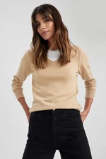 DEFACTO Regular Fit V-Neck Pullover