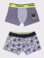 Yoclub Kids's 2Pack Boy's Boxer Briefs BMB-0018C-AA30