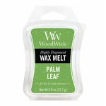 WoodWick Vonný vosk Palm Leaf 22,7 g