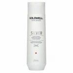 Goldwell Dualsenses Silver Shampoo šampón pre platinovo blond a šedivé vlasy 250 ml