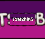 TenebriS Steam CD Key