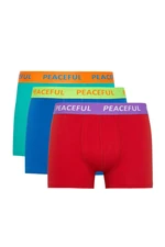 DEFACTO Regular Fit 3-Piece Boxer