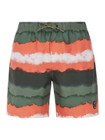 Men's beach shorts Protest PRTHAMSEY