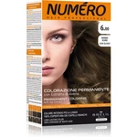 Brelil Numéro Permanent Coloring farba na vlasy odtieň 6.00 Dark Blonde 125 ml