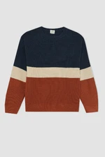 DEFACTO Boy Regular Fit Crew Neck Knitted Patterned Color Block Knitwear Sweater