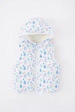 DEFACTO Baby Girl Water Repellent Hooded Patterned Inflatable Vest Z1311a223sp