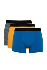 DEFACTO Regular Fit 3-Piece Boxer