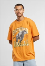 Men's T-shirt Greyhound Racing orange