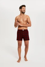 Men's boxer shorts Zeman - print