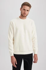 DEFACTO Regular Fit Crew Neck Basic Plain Plush Sweatshirt