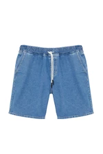 Trendyol Blue Wide Cut Plus Size Denim Shorts