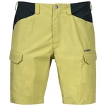 Men's Shorts Bergans Utne Shorts Green