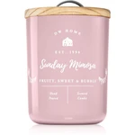 DW Home Farmhouse Sunday Mimosa vonná sviečka 434 g