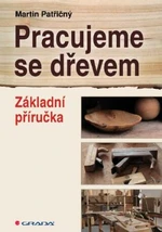 Pracujeme se dřevem - Martin Patřičný - e-kniha