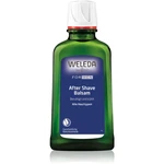 Weleda Men balzam po holení 100 ml