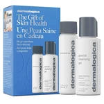 Dermalogica Dárková sada péče pro čistou pleť The Go-Anywhere Clean Skin Set