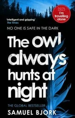 The Owl Always Hunts at Night - Samuel Bjork