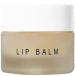 Dr. Barbara Sturm Hydratační balzám na rty (Lip Balm) 12 ml