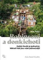 Robinsoni a donkichoti - Aleš Palán