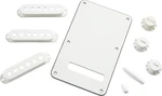 Fender Stratocaster Accessory Kit