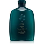 Oribe Moisture & Control intenzívne regeneračný šampón pre nepoddajné vlasy 250 ml