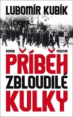 Příběh zbloudilé kulky - Lubomír Kubík