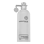 Montale Fougeres Marines woda perfumowana unisex 100 ml