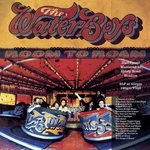 Waterboys - Room To Roam (Remastered) (180 g) (2 LP)