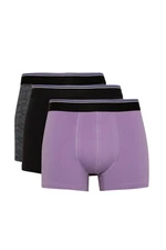 DEFACTO Regular Fit 3-Pack Boxer