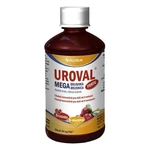 UROVAL Megabrusinka FORTE sirup 200 ml