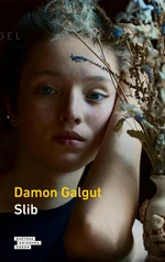 Slib - Damon Galgut