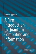 A First Introduction to Quantum Computing and Information