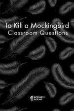 To Kill a Mockingbird Classroom Questions