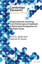 Organizational Learning from Performance Feedback