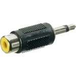 Jack / cinch audio adaptér SpeaKa Professional SP-7870276, černá