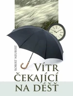 Vítr čekající na déšť - Neubert Robert