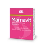 GS Mamavit 1 Plánování a 1. trimestr, 30 tablet