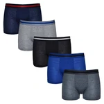 5PACK children's boxers Gianvaglia multicolored