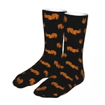 Squirrel Joyful Funny Socks Men's Women's Casual Animal Socks Crazy Spring Summer Autumn Winter Socks Gifts