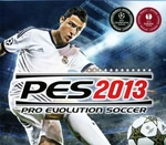 Pro Evolution Soccer 2013 PC Download CD Key