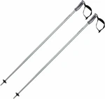 Head Multi Performance Brushed Aluminium/Black 130 cm Bâtons de ski