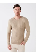 LC Waikiki Crew Neck Long Sleeve Men's Knitwear Sweater