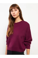 LC Waikiki Crew Neck Plain Long Sleeve Women's Knitwear Sweater